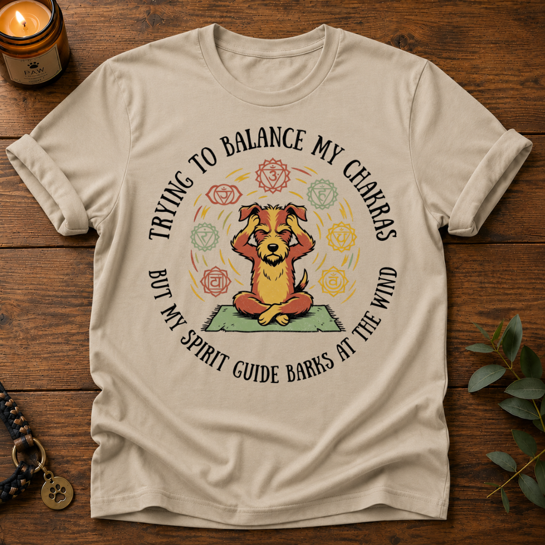 Balance My Chakras T-Shirt