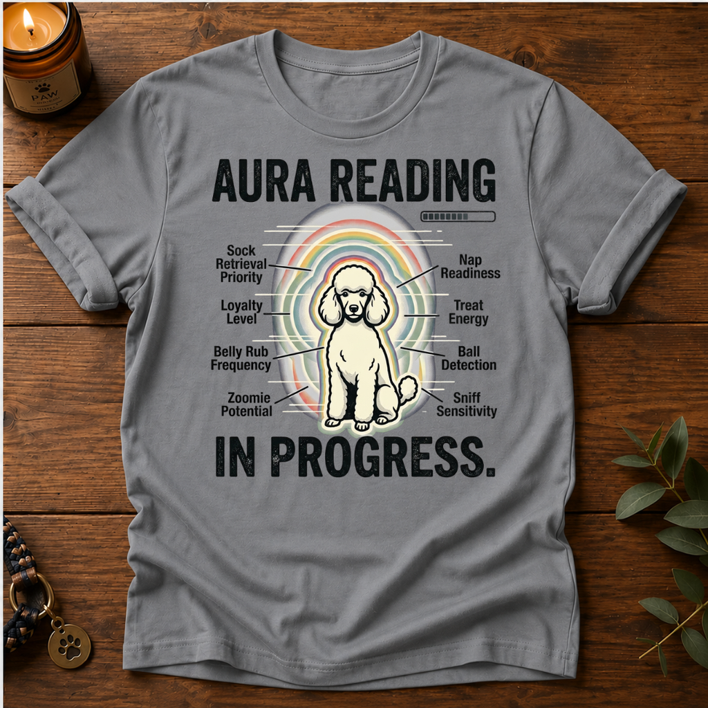 Aura Reading T-Shirt