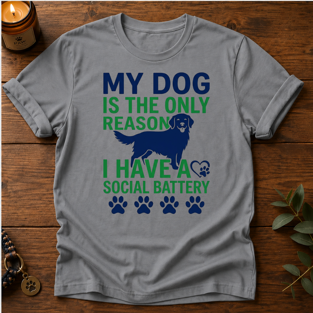 Social Battery T-Shirt