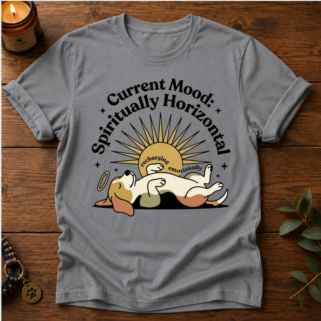 Mood Spiritually Horizontal T-Shirt