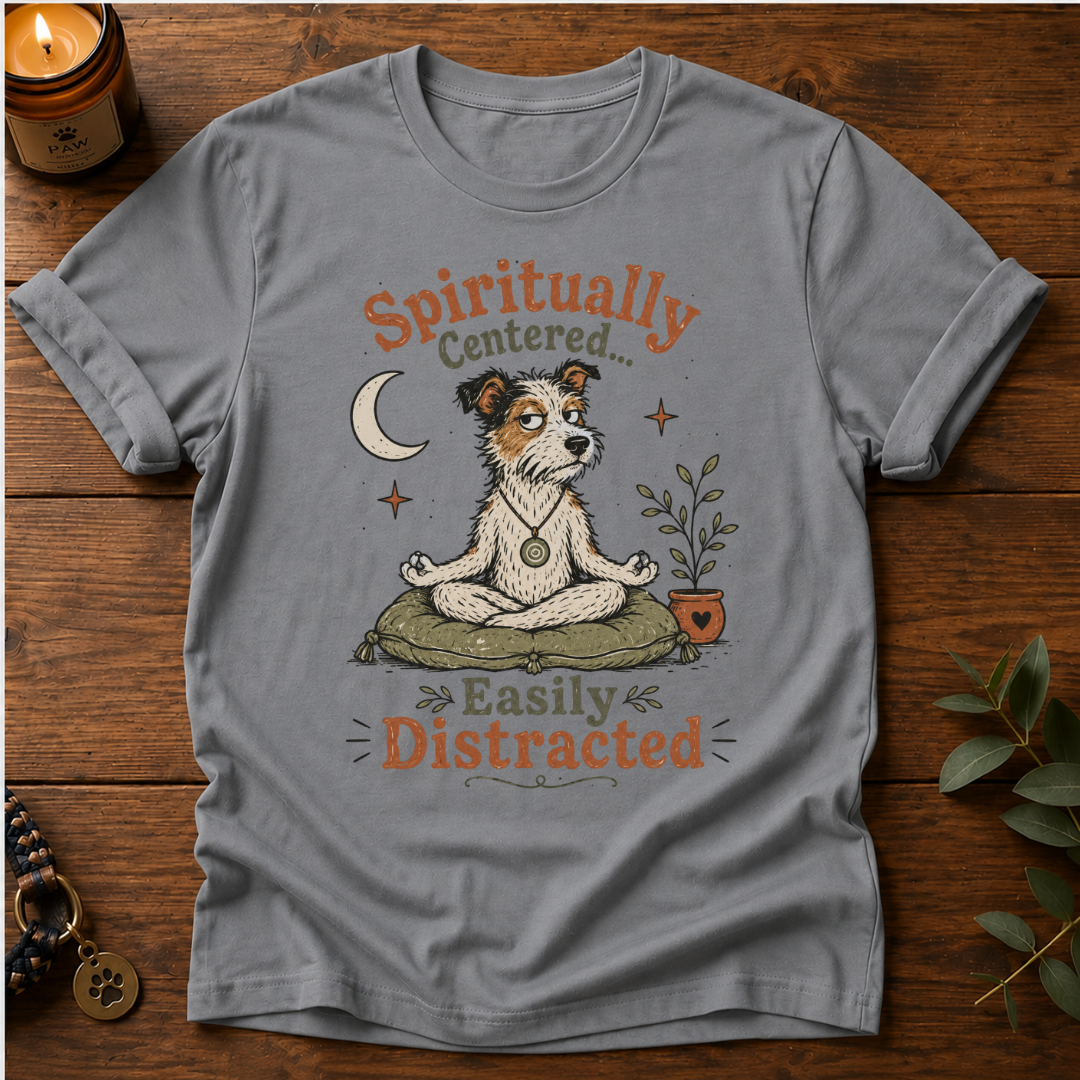 Spiritually Centered T-Shirt