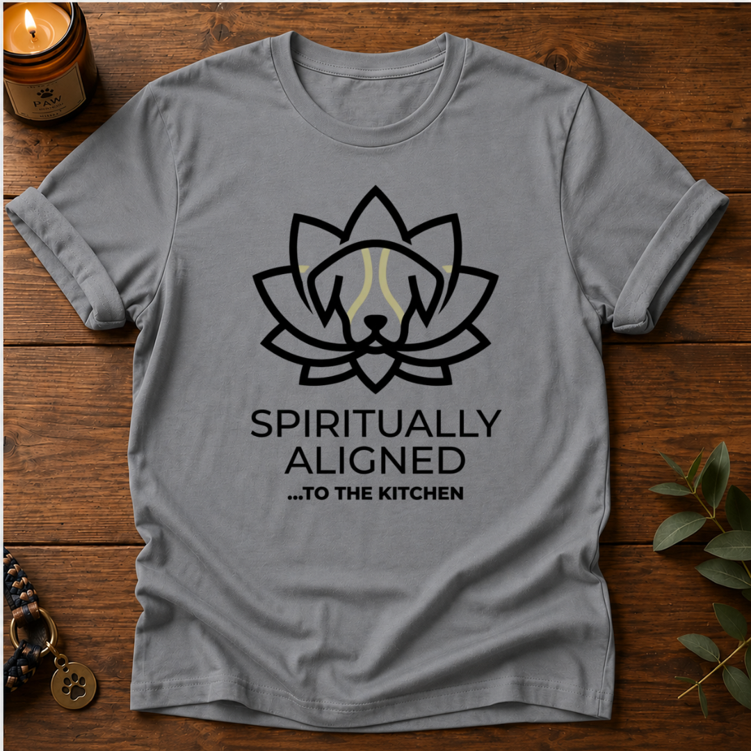 Spiritually Aligned T-Shirt