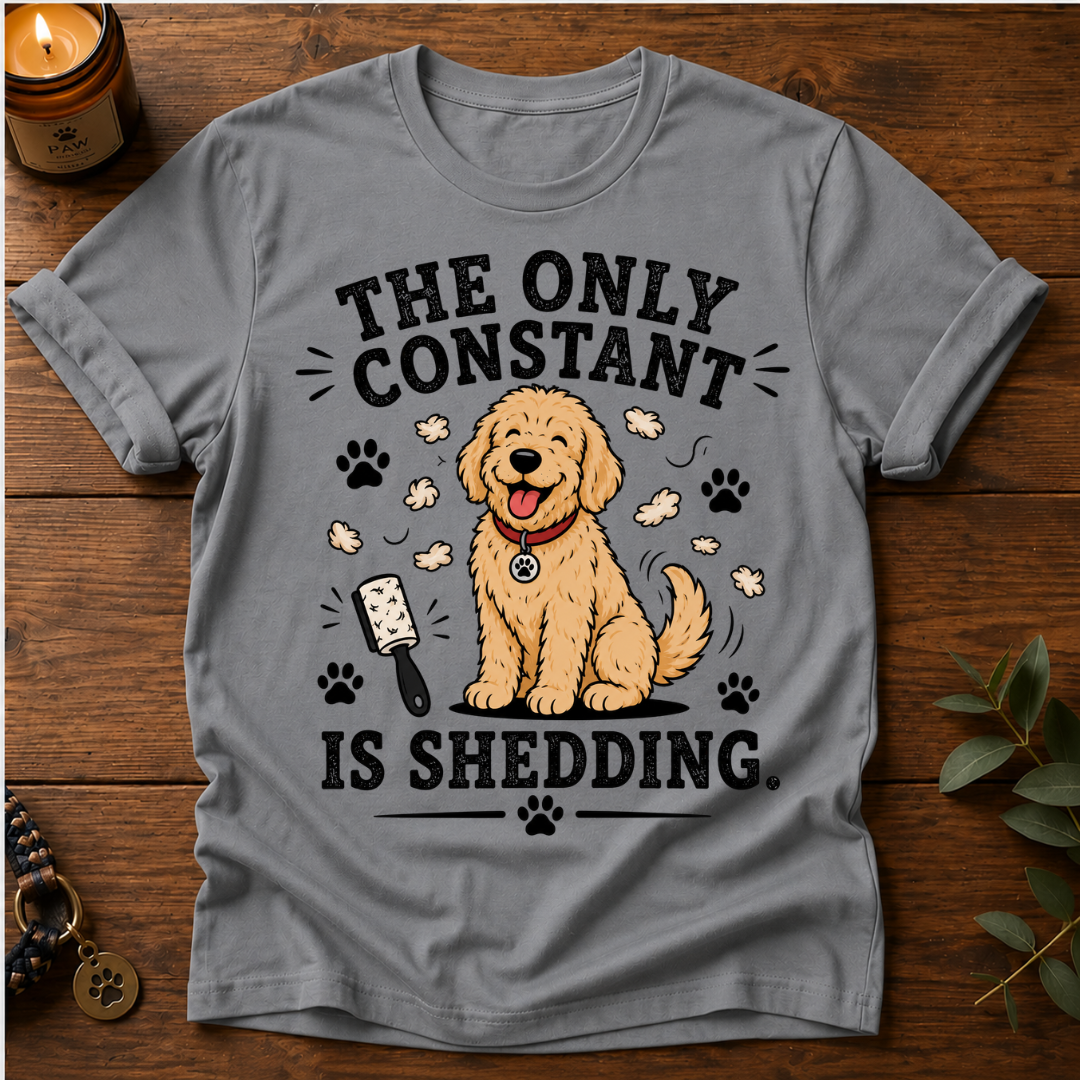 The Only Constant T-Shirt