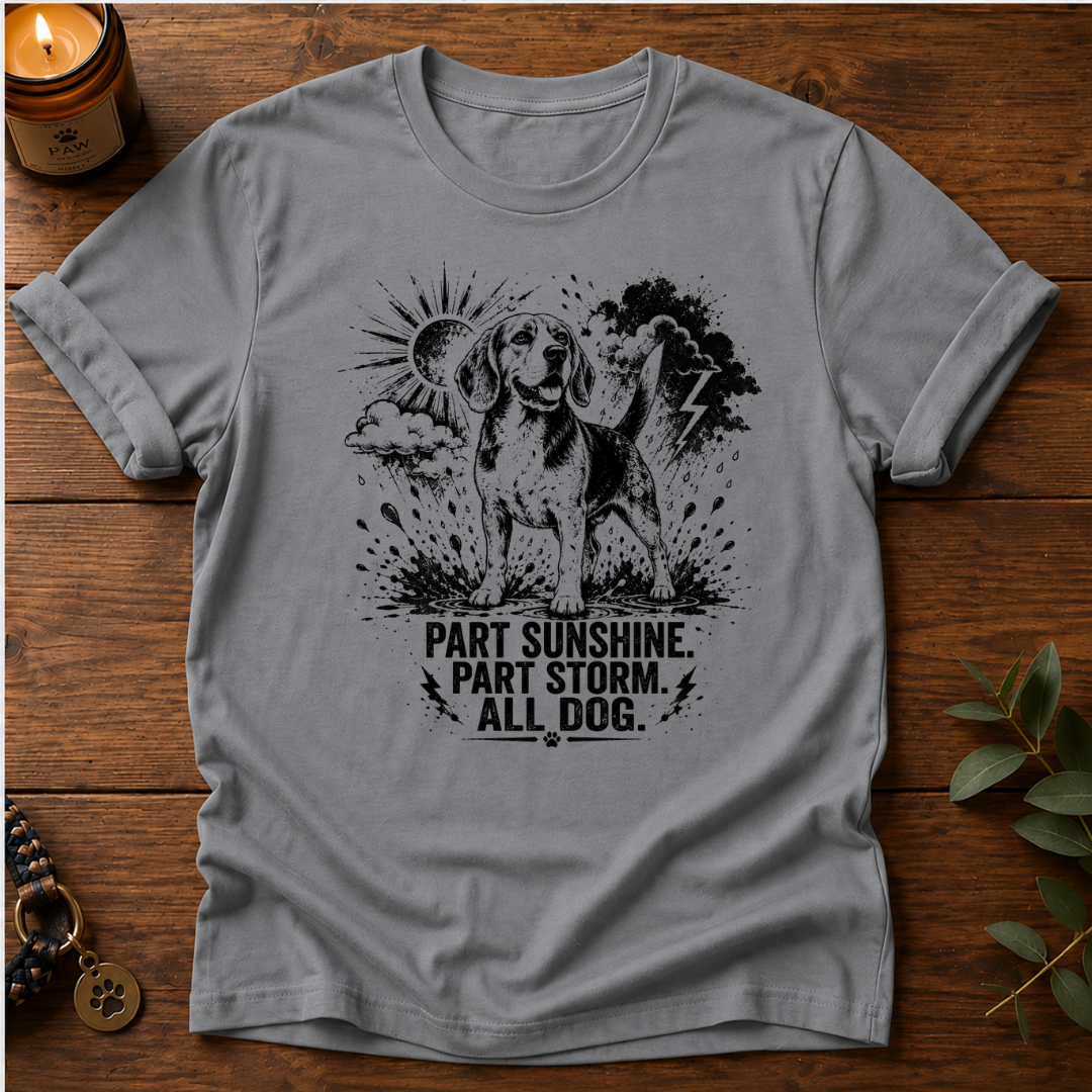 Part Sunshine Part Storm T-Shirt