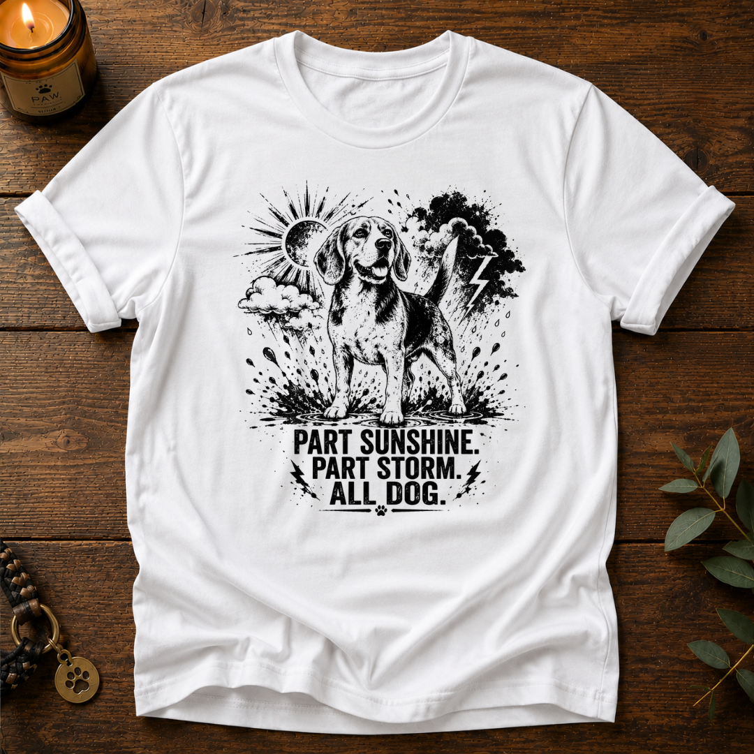 Part Sunshine Part Storm T-Shirt
