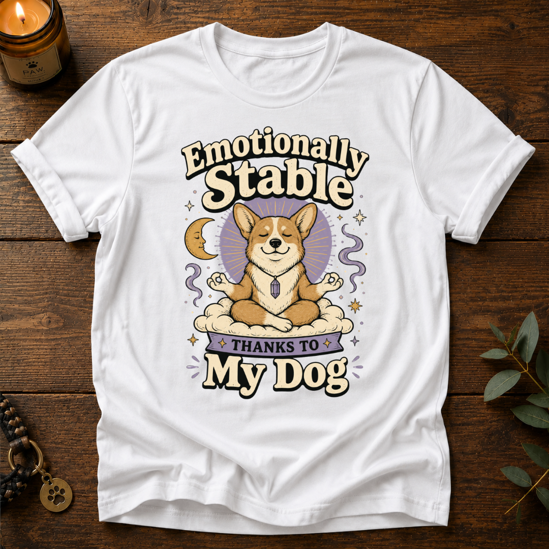 Emotionally Stable T-Shirt